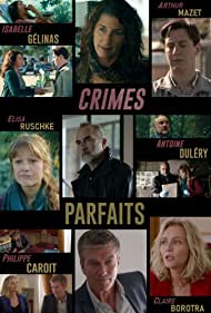 Crimes parfaits (2017)