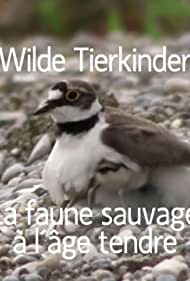 Wilde Tierkinder (2020)